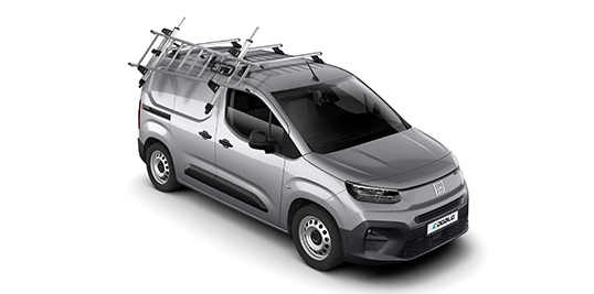 Fiat Professional roof bar and ladder